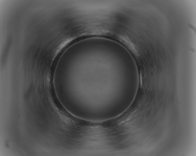 X0000092110483200709121621