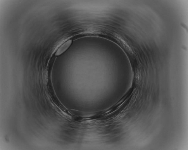 X0000092110484200709121621