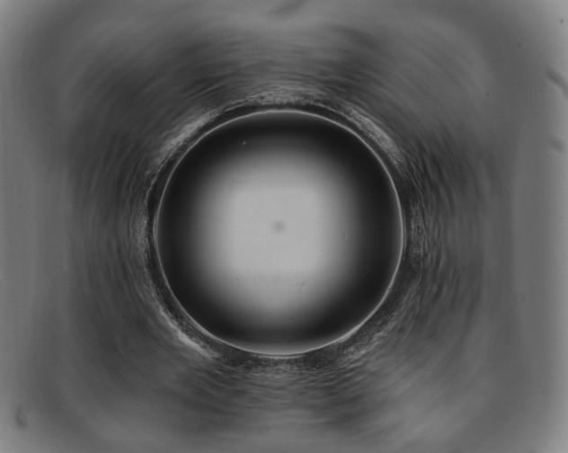 X0000092110485200709121621