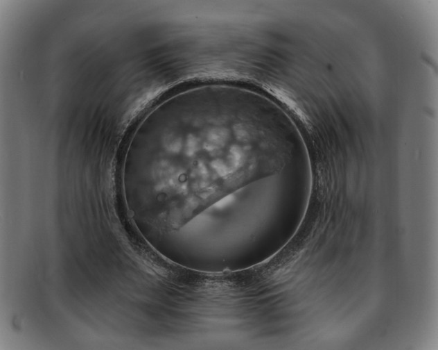 X0000092110487200709121621