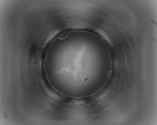 X0000092110491200709121621