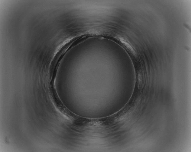 X0000092110492200709121621