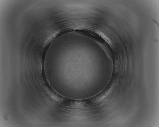 X0000092110493200709121621