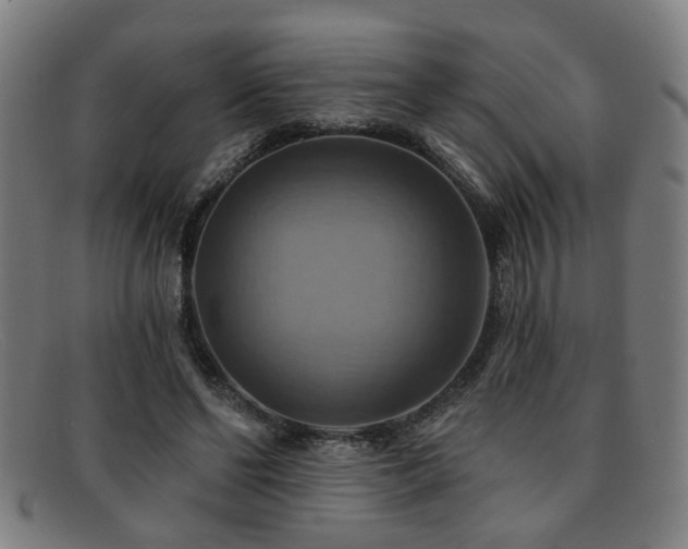 X0000092110494200709121621