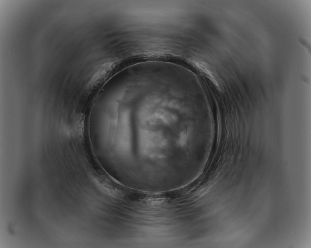 X0000092110495200709121621