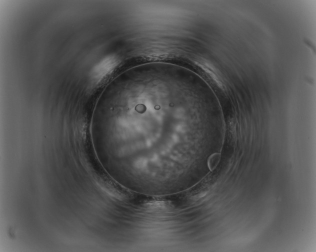 X0000092110499200709121621