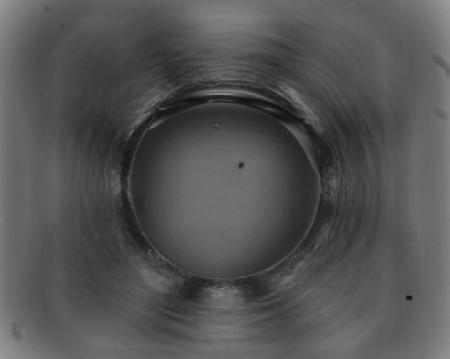 X0000092110500200709121621