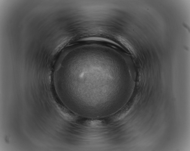 X0000092110501200709121621