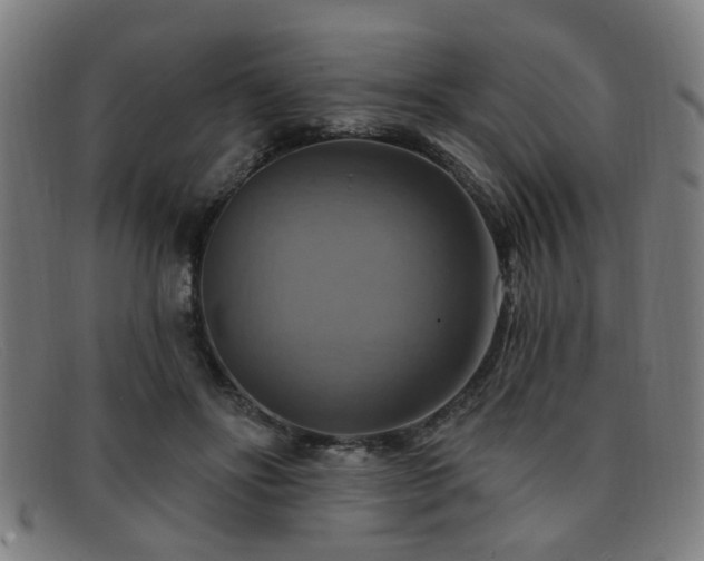 X0000092110502200709121621