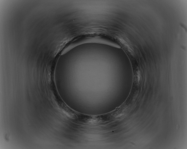 X0000092110504200709121621