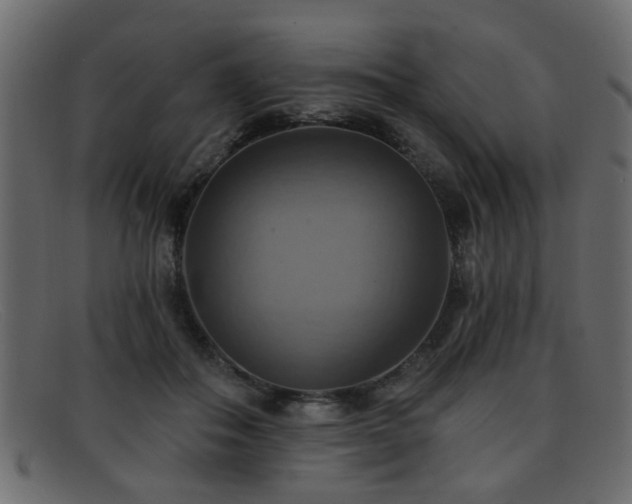 X0000092110506200709121621