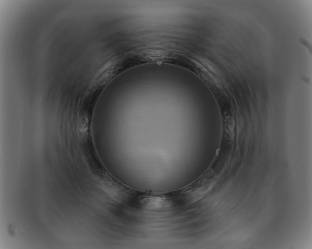 X0000092110507200709121621