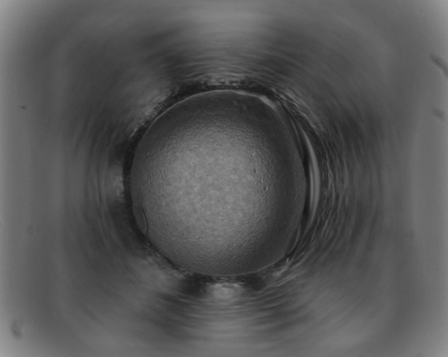 X0000092110508200709121621