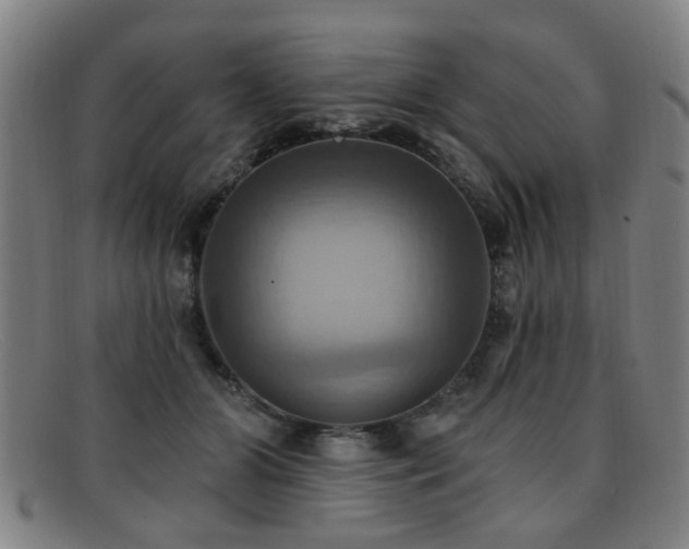 X0000092110510200709121621