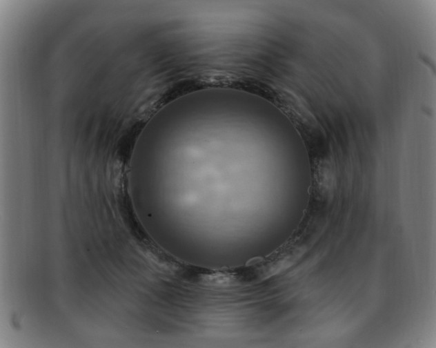 X0000092110511200709121621