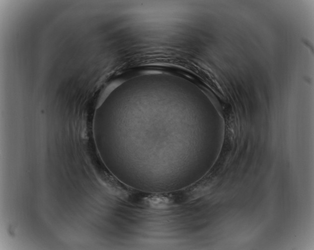 X0000092110512200709121621