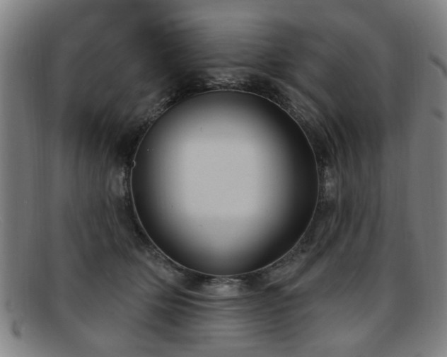 X0000092110514200709121620