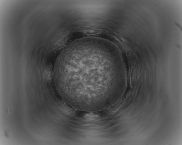 X0000092110515200709121620