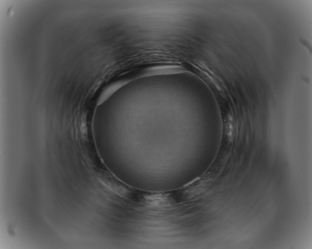 X0000092110516200709121620