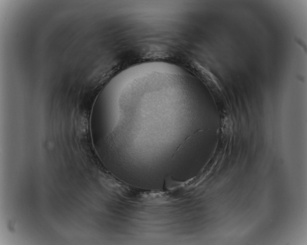 X0000092110517200709121620