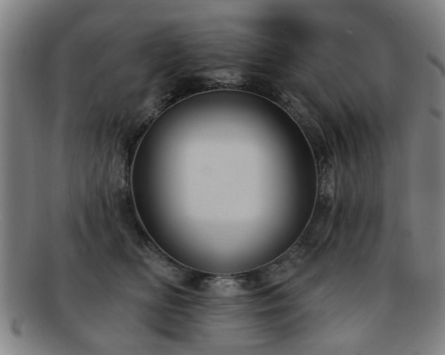 X0000092110518200709121620