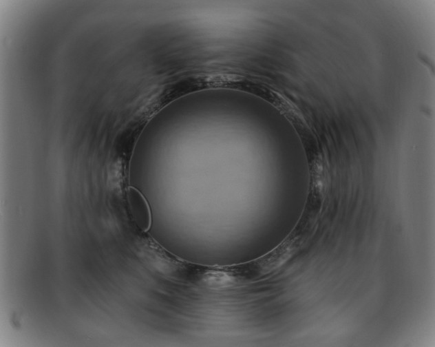 X0000092110519200709121620