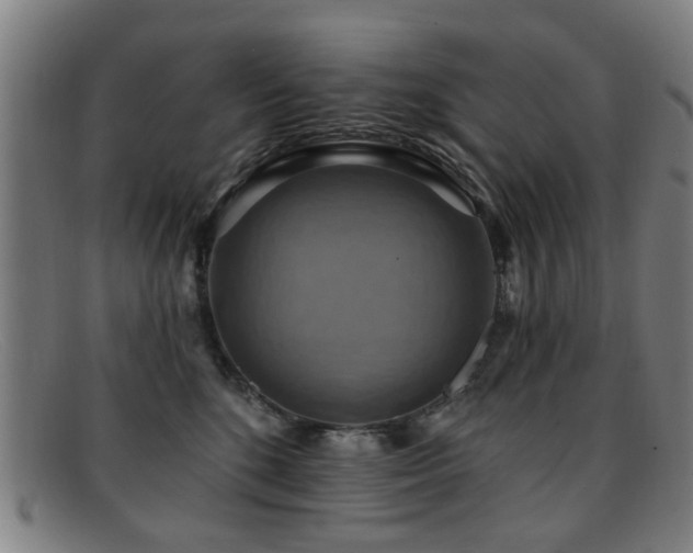 X0000092110520200709121620