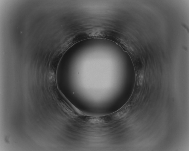 X0000092110521200709121620