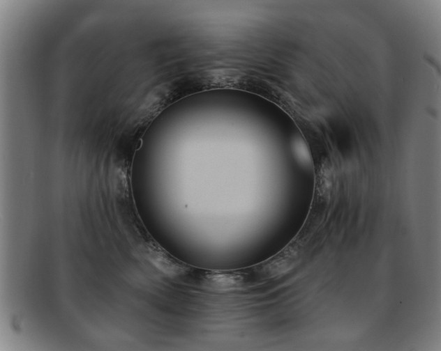 X0000092110522200709121620