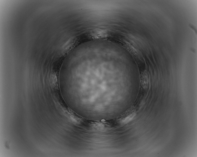 X0000092110523200709121620