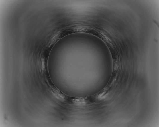 X0000092110524200709121620