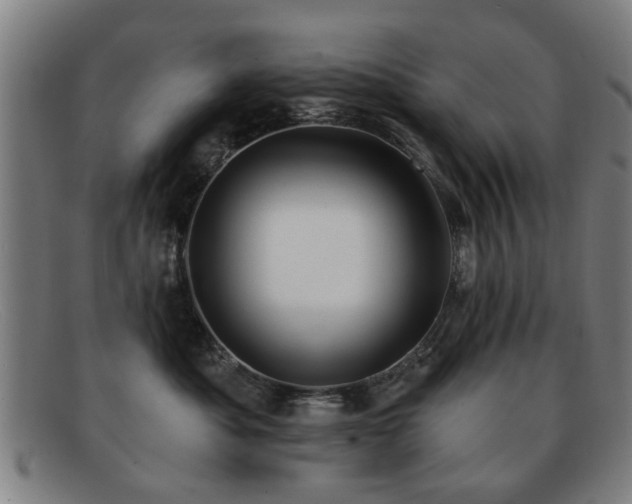 X0000092110525200709121620