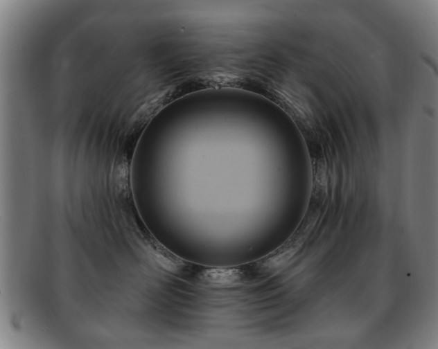 X0000092110526200709121620