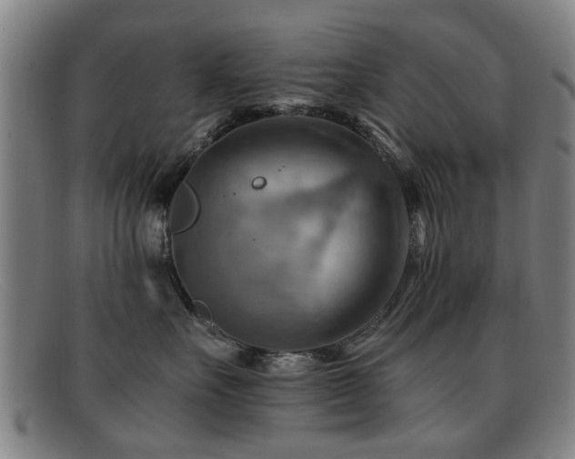 X0000092110527200709121620