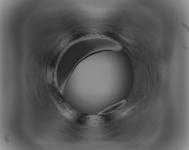 X0000092110528200709121620