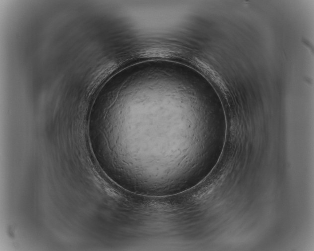 X0000092110529200709121620