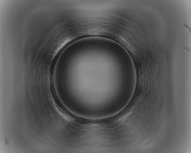 X0000092110530200709121620