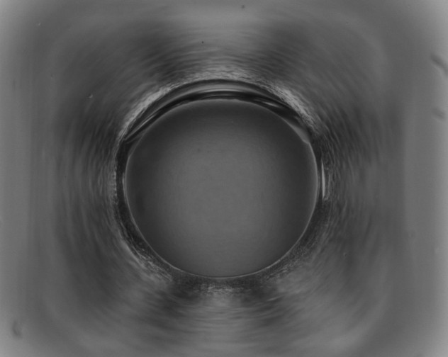 X0000092110531200709121620