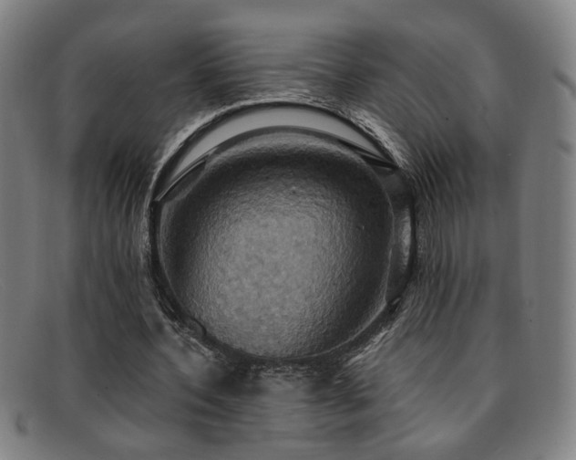 X0000092110532200709121620