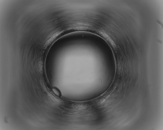 X0000092110533200709121620