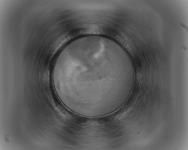 X0000092110534200709121620