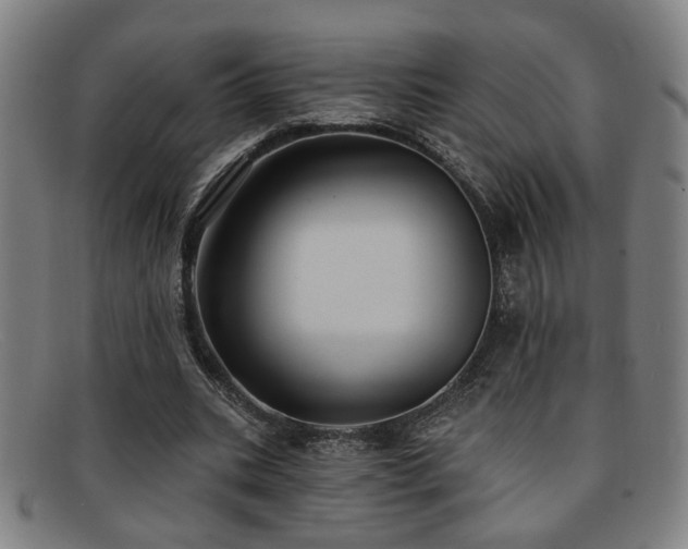 X0000092110535200709121620