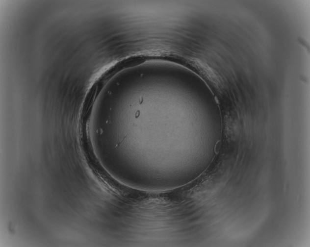 X0000092110536200709121620