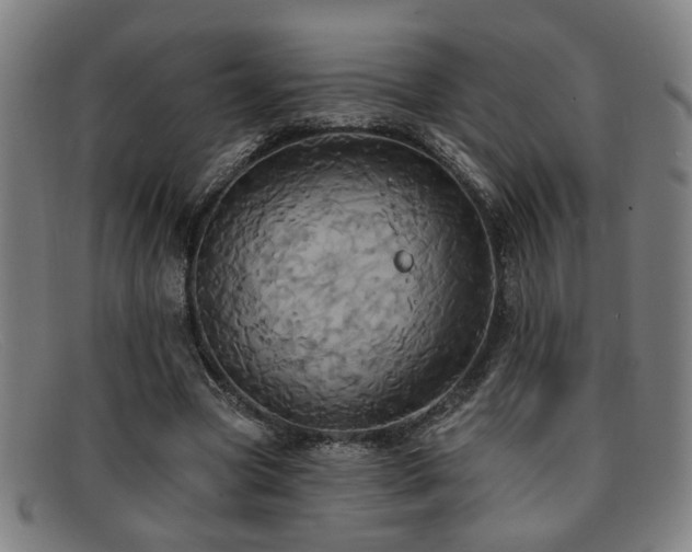 X0000092110537200709121620