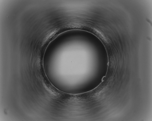 X0000092110538200709121620