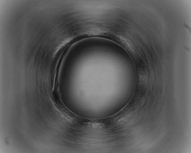 X0000092110539200709121620