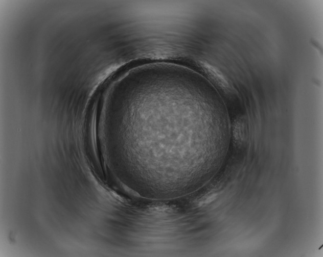 X0000092110540200709121620