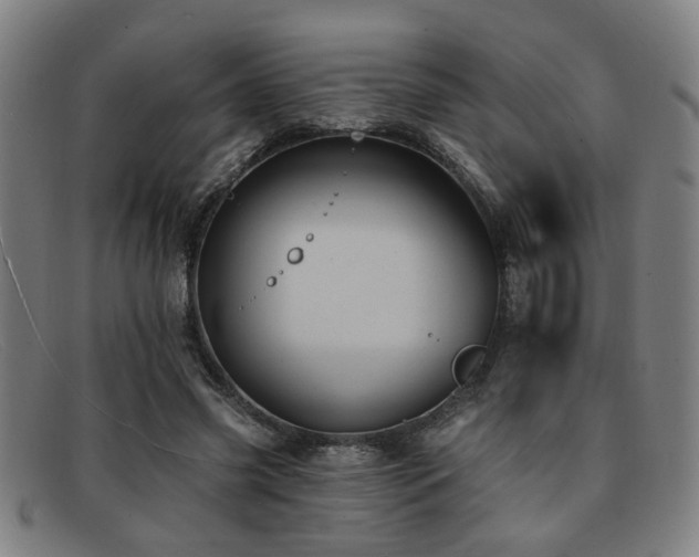 X0000092110541200709121620