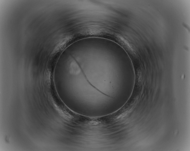 X0000092110542200709121620