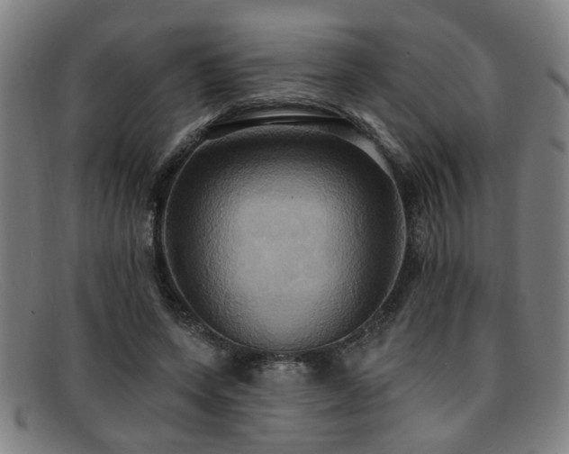 X0000092110543200709121620